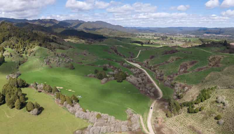 Lot 2, 283 Minginui Road, Galatea