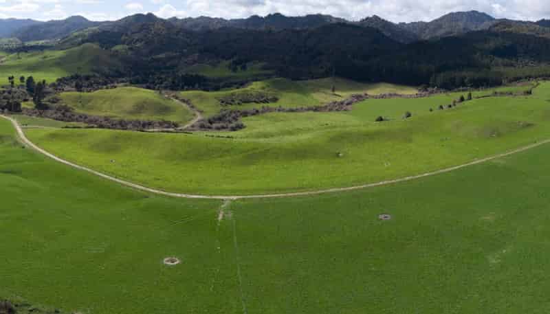 Lot 2, 283 Minginui Road, Galatea