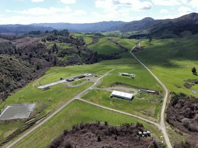 Lot 2, 283 Minginui Road, Galatea
