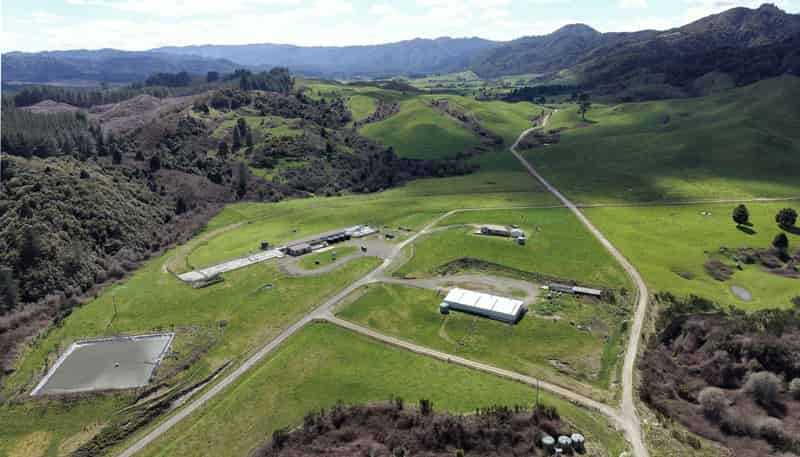 Lot 2, 283 Minginui Road, Galatea