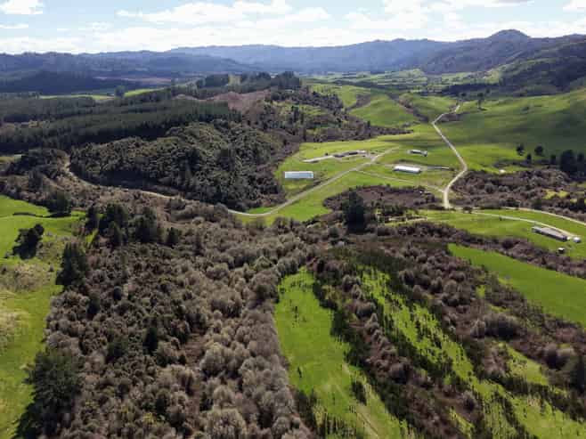 Lot 2, 283 Minginui Road, Galatea