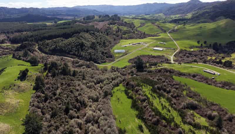 Lot 2, 283 Minginui Road, Galatea