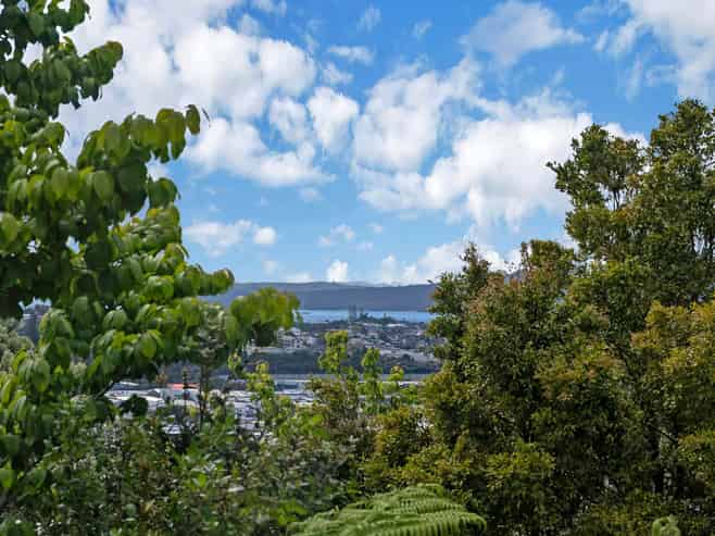 84 & 86 Ayton Drive, Totara Vale