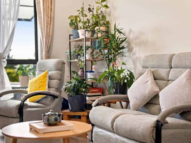 172 Long George Drive, Totara Park
