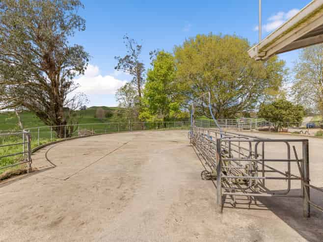58 Nicholson Road, Piarere