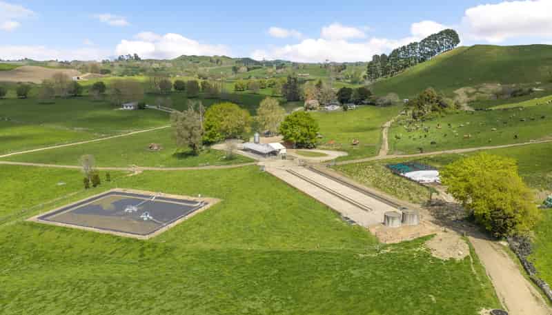 58 Nicholson Road, Piarere