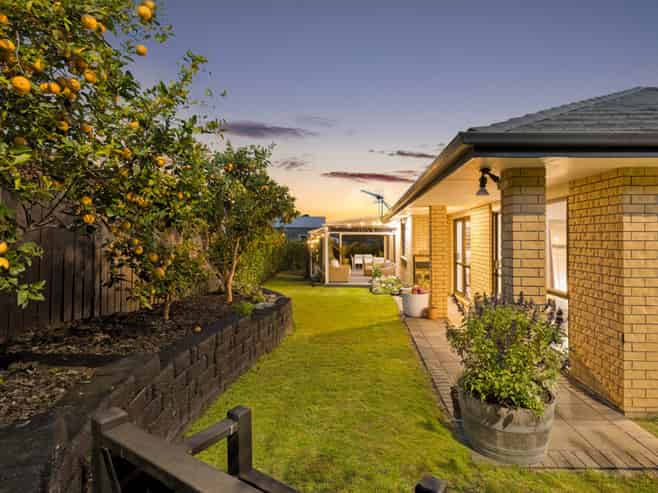 19 Lieshout Way, Pukekohe