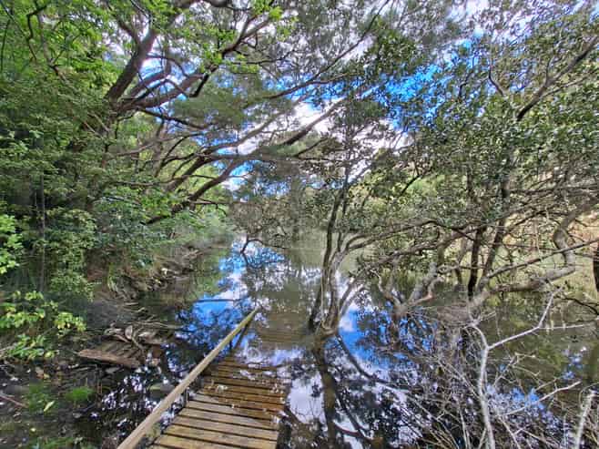 193 Rangitane Road, Kerikeri