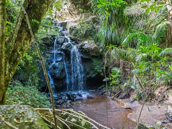 193 Rangitane Road, Kerikeri