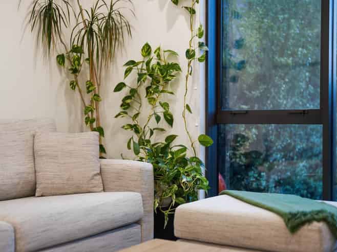 18 Kiato Lane, Flat Bush