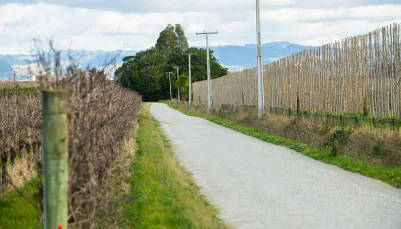 Lot 1/1105 Back Ormond Road, Waihirere