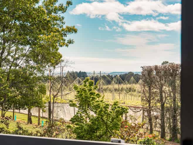 453 No 3 Road, Te Puke