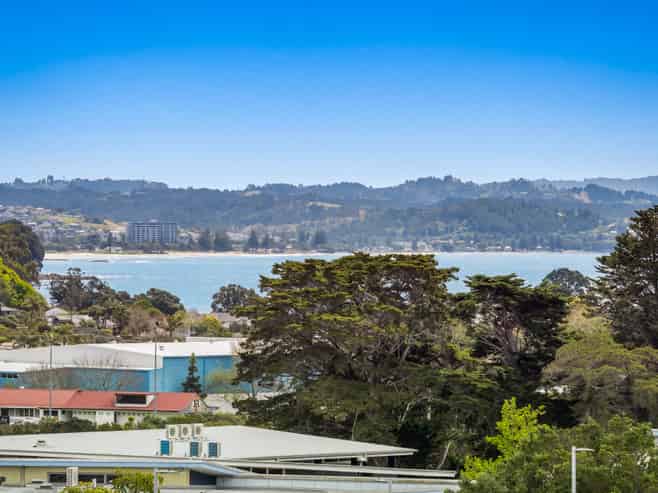 12 Delshaw Avenue, Stanmore Bay