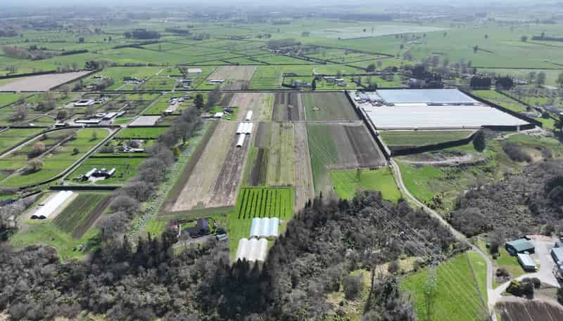 491E Bruntwood Road, Tamahere