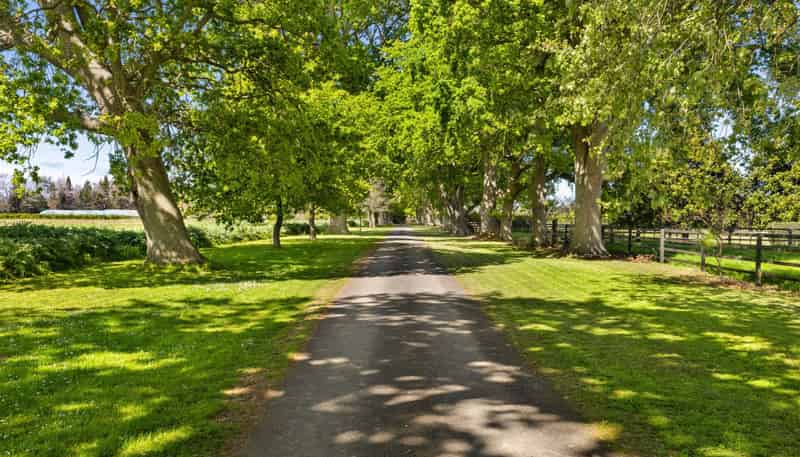 491E Bruntwood Road, Tamahere