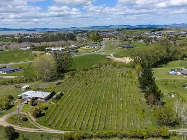 62a and 62 Orchard Road, Te Kauwhata