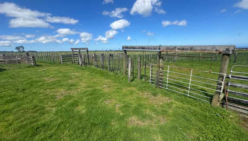 1110 Kaweora Road, Opunake