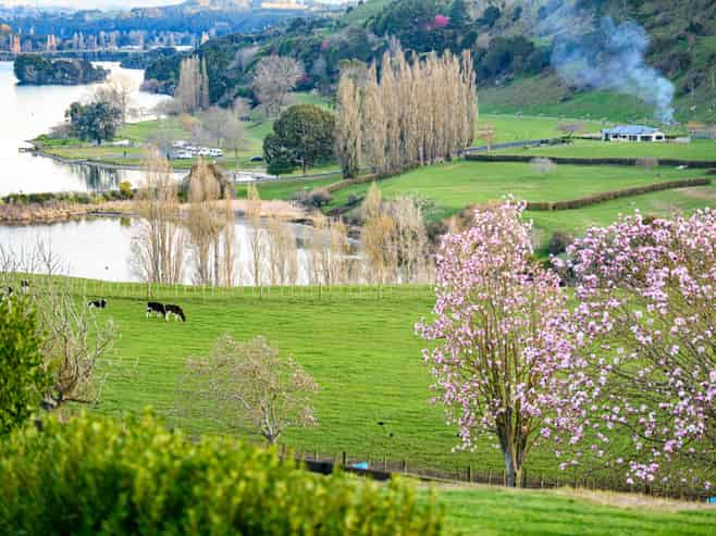 2400 Maungatautari Road, Cambridge