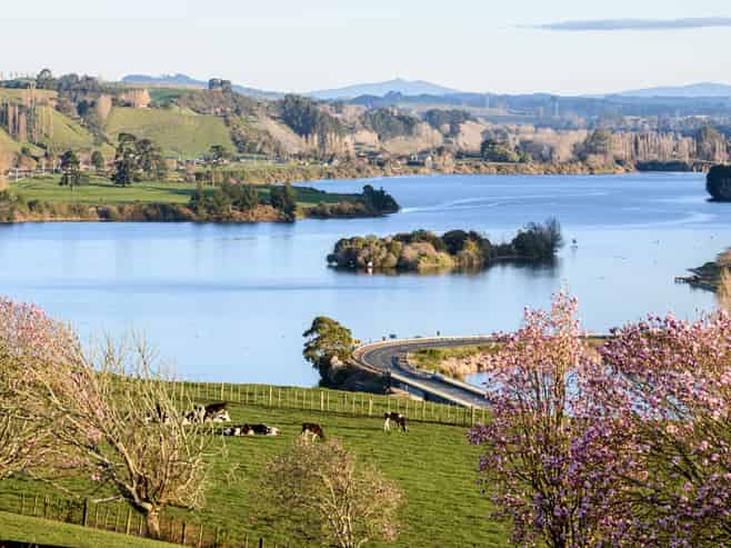 2400 Maungatautari Road, Cambridge