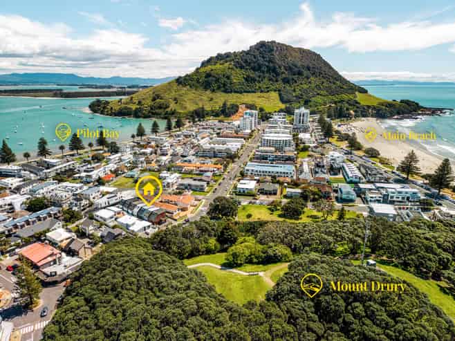 62C Maunganui Road, Mount Maunganui