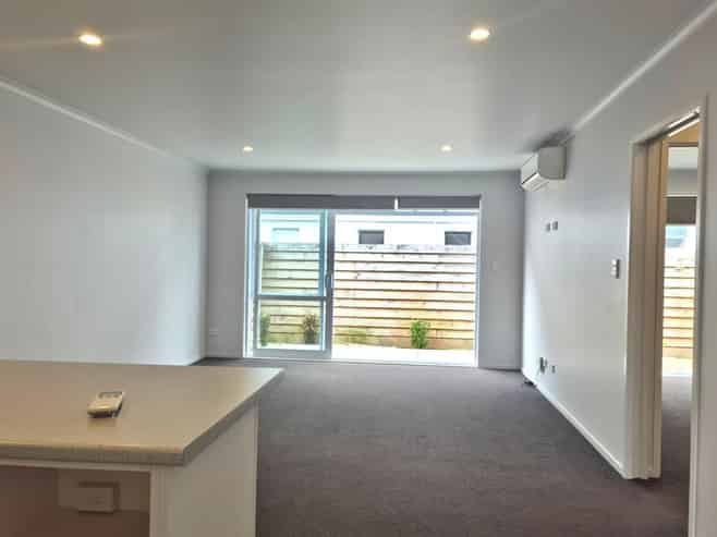 11/157 Ulster Street, Whitiora