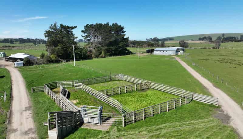 620 Hinahina Road, Catlins Forest Park