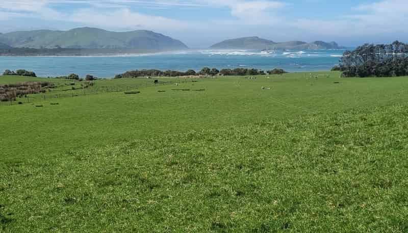 620 Hinahina Road, Catlins Forest Park