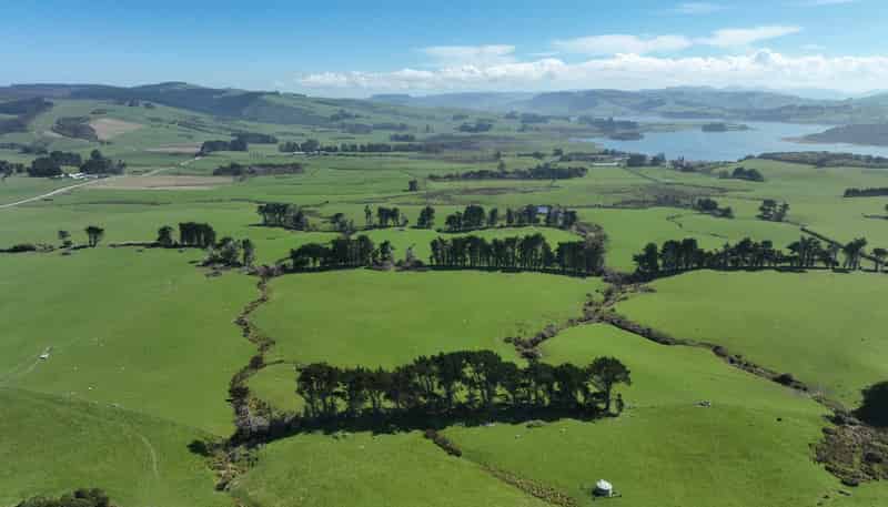 620 Hinahina Road, Catlins Forest Park