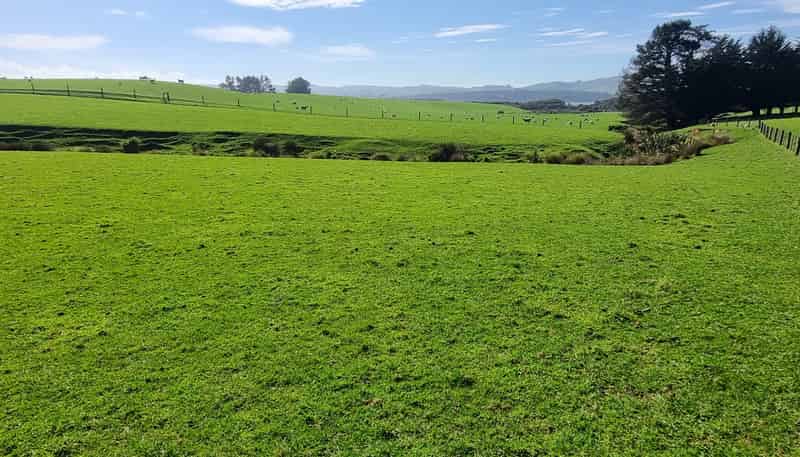 620 Hinahina Road, Catlins Forest Park