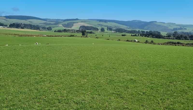 620 Hinahina Road, Catlins Forest Park