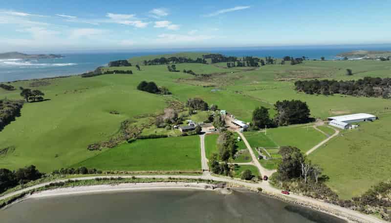 620 Hinahina Road, Catlins Forest Park