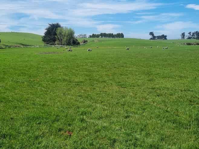 620 Hinahina Road, Catlins Forest Park