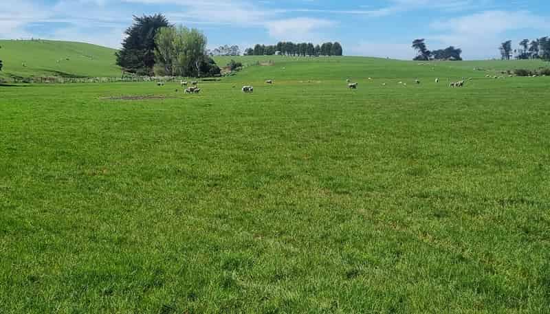 620 Hinahina Road, Catlins Forest Park