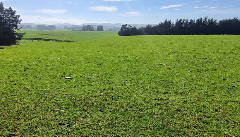 620 Hinahina Road, Catlins Forest Park