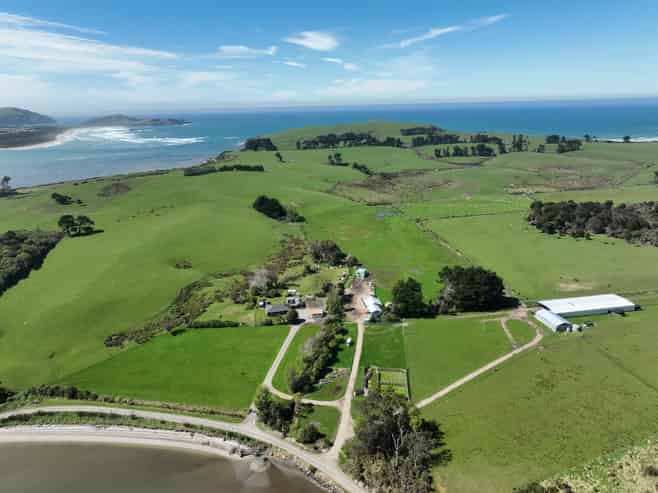 620 Hinahina Road, Catlins Forest Park