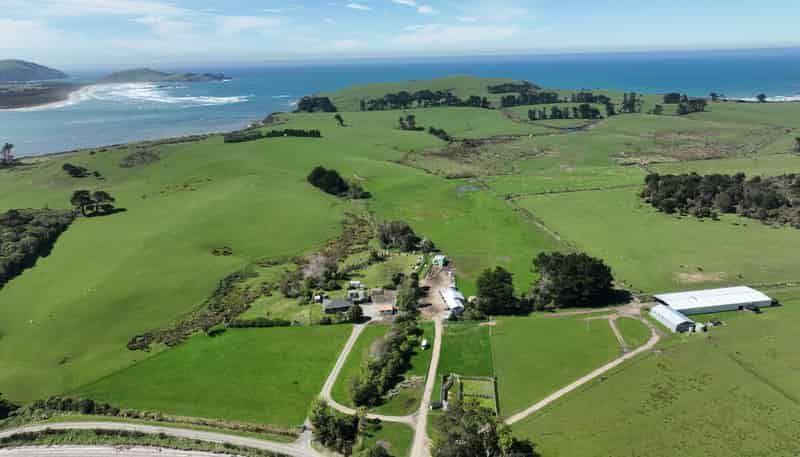 620 Hinahina Road, Catlins Forest Park