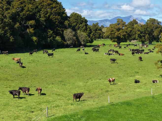 574 East Takaka Road, East Takaka