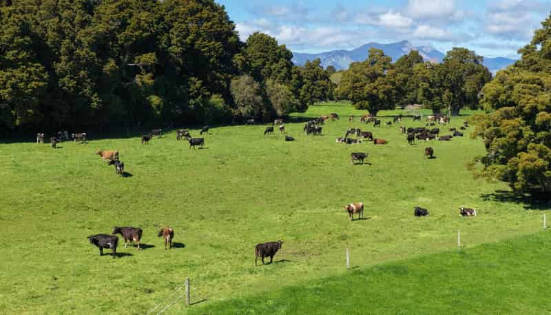 574 East Takaka Road, East Takaka