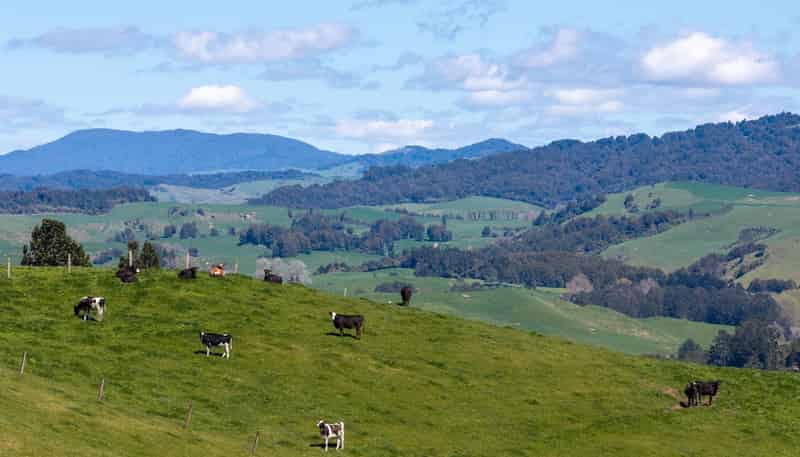 656 Waotu Road South, Putaruru