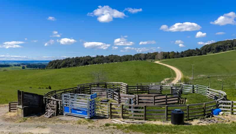 656 Waotu Road South, Putaruru