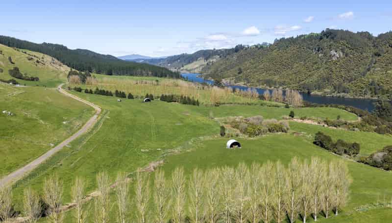656 Waotu Road South, Putaruru