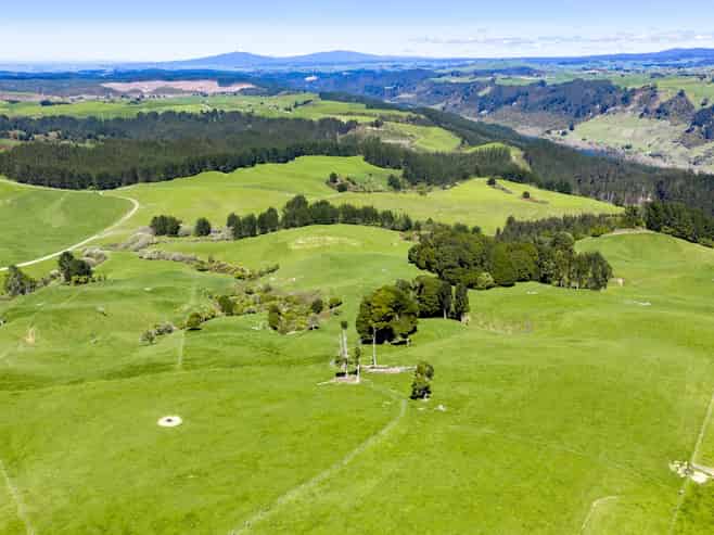 656 Waotu Road South, Putaruru