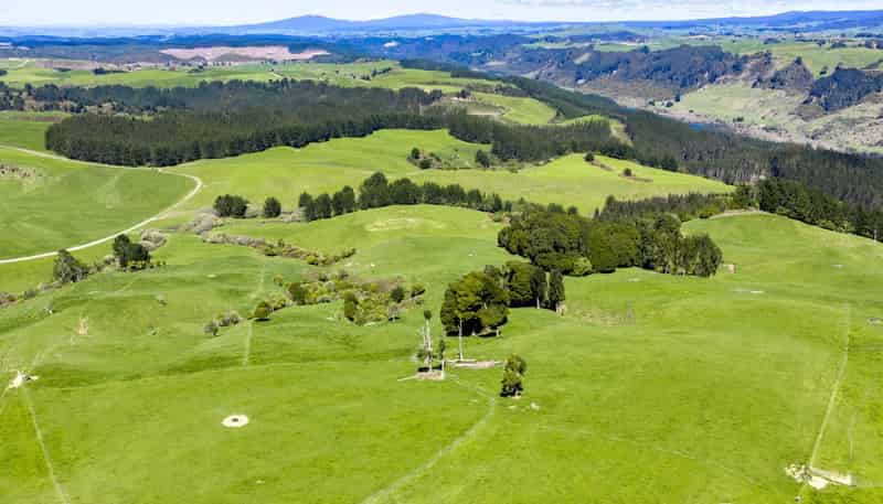 656 Waotu Road South, Putaruru