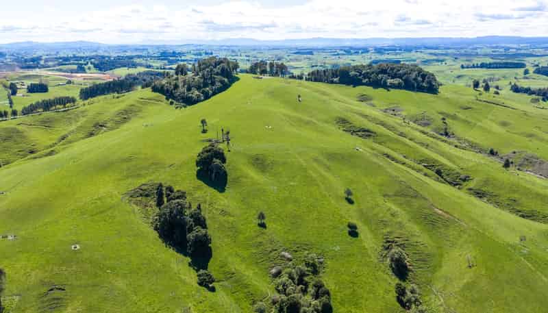 656 Waotu Road South, Putaruru