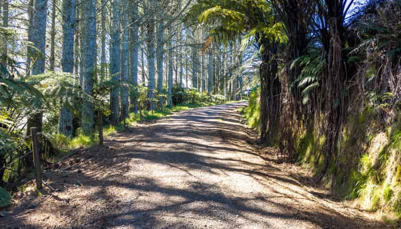 656 Waotu Road South, Putaruru