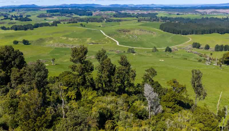 656 Waotu Road South, Putaruru