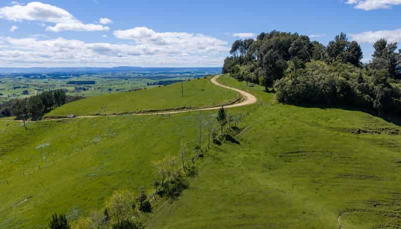656 Waotu Road South, Putaruru