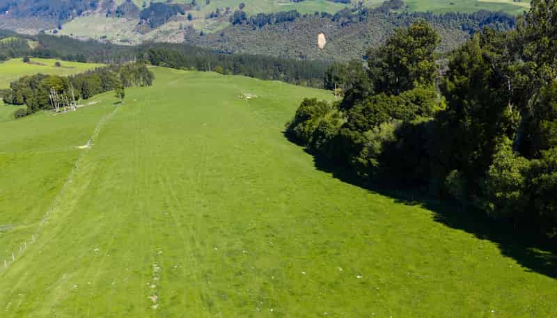 656 Waotu Road South, Putaruru