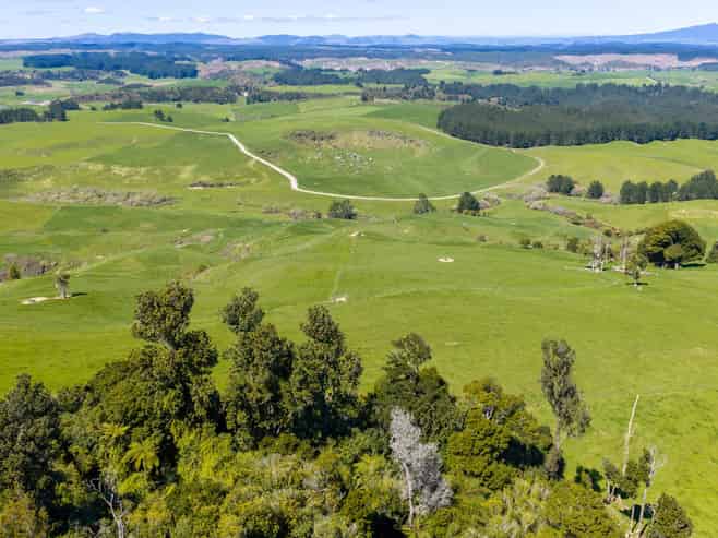 656 Waotu Road South, Putaruru