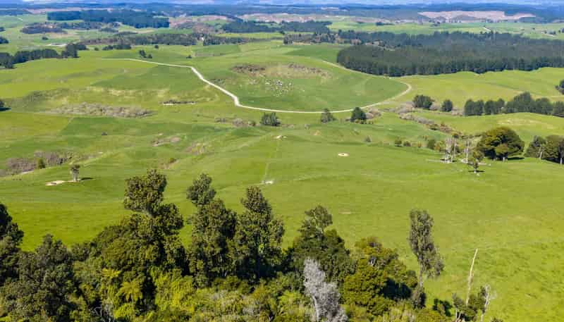 656 Waotu Road South, Putaruru